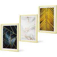 Coloray 3-Delige Schilderij Set - Vintage Bloemen, Katten En Planten In De Natuur - 40 x 40 cm En 40 x 60 cm - Wanddecoratie - Woonkamer Decoratie - Decoratieve Schilderijen
