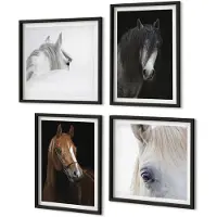 Coloray 4-Delige Schilderij Set - Portretten Van Paarden In Verschillende Vachtkleuren - 40 x 40 cm En 40 x 60 cm - Decoratieve Schilderijen - Wanddecoratie - Hal - Interieur Decoratie