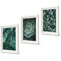 Coloray 3-Delige Schilderij Set - Groene bladeren van vetplanten en tere takjes - 20x30 - Muurdecoratie - Wanddecoratie - Hal - Moderne Wanddecoratie