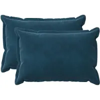 vidaXL Kussensloop 2 st HOUTEN Blauw 40 x 60 cm Fluweel