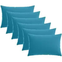 vidaXL Kussensloop 6 st HEERLEN Lichtblauw 50 x 80 cm Polyester