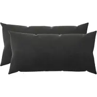 vidaXL Kussensloop 2 st HEERLEN Zwart 40 x 80 cm fluweel