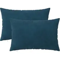 vidaXL Kussensloop 2 st HEERLEN Blauw 30 x 50 cm fluweel