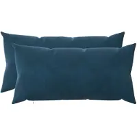 vidaXL Kussensloop 2 st HEERLEN Blauw 40 x 80 cm fluweel