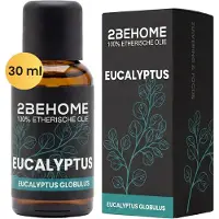 2BEHOME Etherische Olie Eucalyptus - 30 ML - 1 Stuk - Essentiële olie voor Aromatherapie - Essential oil - Geurolie voor Aromadiffuser