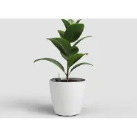 Artevasi San Remo Bloempot Zelfwaterend Ø 42 cm Mat Wit - UV-bestendig - Plantenpot en Bloembak