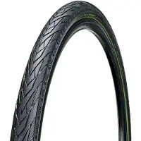 Chaoyang Band Kestrel E-bike Reflex