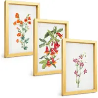 Tulup 4-Delige Schilderij Set - Vintage retro bloemenschilderij - 20 x 30 cm - Muurdecoratie - Wanddecoratie - Slaapkamer - Decoratieve Schilderijen
