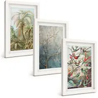 Tulup 3-Delige Schilderij Set - Tropische planten en kleurrijke vogels in de natuur - 20x30 - Wanddecoratie - Muurdecoratie - Woonkamer - Woonkamer Decoratie