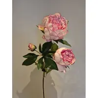 Pure Zijde Bloem Pioenroos - Pioenroos Spray - Roze - Kunst - 70 cm - Decoratie Bloemen