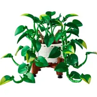 LEGO Botanicals Hangende Drakenklimop Planten Bouwpakket voor Volwassenen - 11512