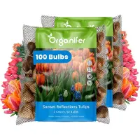 Organifer Tulpenbollen - 100 Bloembollen - Sunset Reflection - Princess Mix Oranje Roze Koraal -