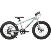 Happiq Kinder mountainbike 51 cm Fat Tire – Voor kinderen vanaf 5 jaar en gebruik op strand en terrein – Met 7 versnellingen en dubbele schijfremmen – Wit stevig frame
