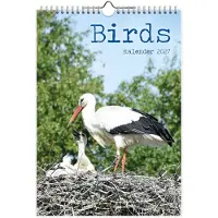 Comello Vogel Kalender 2027