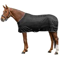 Waldhausen Paardendeken Economic 300g