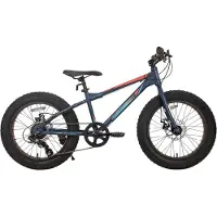 Happiq Kinder mountainbike 51 cm Fat Tire – Voor kinderen vanaf 5 jaar en strand- en terrein gebruik – Met 7 versnellingen en dubbele schijfremmen – Blauw frame