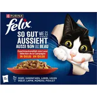Felix Zo lekker als het eruitziet nat kattenvoer in gelei, assortiment, verpakking van 12 stuks (1 x 12 x 85g)