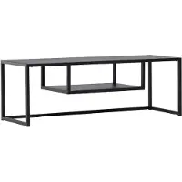 Nest of Nora Stalen TV-meubel Lana - Met opbergruimte - Modern - Zwart