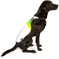 Gofluo - Hondentuig Moonlight - Reflecterend - Hondenharnas - Fluo - Veiligheidshesje - Wandelen - XL - Grey reflective