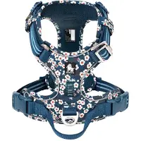 TrueLove - Hondentuigje - Hondenharnas - Blauw Bloemenpatroon - Reflecterend - Anti-Trek - Grote Honden - Collectie 2025 - Blauw - XL