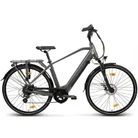 Villette l' Amant Gents 13Ah ebike herenfiets dark grey
