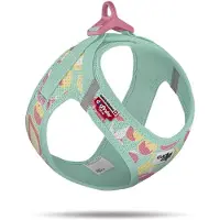 Curli Hondentuig Clasp Vest Harness Juicy Fruits Turquoise LE26 Maat XXS 30-34 cm