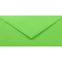 Netuno Gladde groene enveloppen A4 - 110 x 220 mm - 50 stuks - NK natgelijmde - 80 gram - Rainbow -