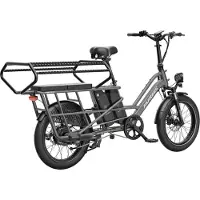 Fafrees 20 inch elektrische fiets met kinderzitjes – E-fiets – E-Bakfiets24Ah accu – maximaal 200kg draagvermogen – max 25km/u – tot 140km – voor gezinsuitjes en dagelijkse boodschappen –Grijs