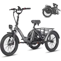 Fafrees F20 Mate Elektrische Driewieler - Opvouwbare Cargo E-Bike - 250W Motor - 48V 20Ah Accu - 20x3.0 Inch Brede Banden - Hydraulische Schijfremmen - Max 180kg Belasting