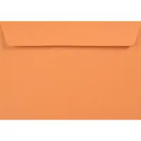 Netuno Gladde oranje enveloppen A6 - 114 x 162 mm - 25 stuks - HK zelfklevend met plakstrip - 120 gram - Kreative -