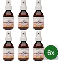 Verillis Luchtverfrisser zuivere prinsessen – 110 ml – Multipack met 6 stuks