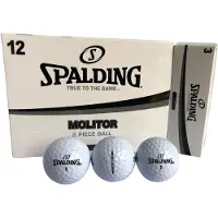 Spalding Golfballen Molitor (x12)