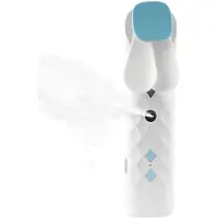 AW Gifts Draagbare Nano Mist Gezichtsventilator met Verstuiver – USB Oplaadbaar – Wit