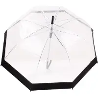 Le Monde du Parapluie Automatische transparante klokparaplu,Doorzichtig