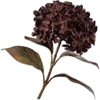Silk-ka Kunstbloem-Zijden Bloem Hortensia Tak Bruin-Bordeau 67 cm