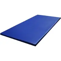 Gobel Ontsmettingsmat - 180x90x4 cm - Desinfectiemat - Desinfecterende Entreemat - Stalmat - Blauw