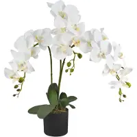 Decovego Kunstorchidee, wit, met pot, 65 cm,