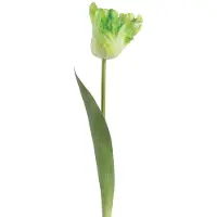 Clayre & Eef Kunstbloem Groen Kunststof