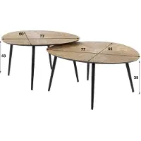 AnLi Style Salontafel Ray organisch set/2