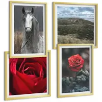 Tulup 4-Delige Schilderij Set - Rode rozen en een paard in een grijze omgeving - 40 x 40 cm en 40 x 60 cm - Schilderijen Set - Wanddecoratie - Woonkamer
