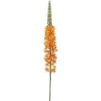Clayre & Eef Kunstbloem Oranje Kunststof