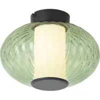 QAZQA Design Plafondlamp Zwart 28 cm met Groen Glas Incl. LED 3-Staps Dimbaar - Margherite