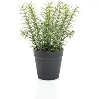 Emerald Thyme in black pot 22 cm kunstplant