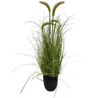 Oosterik Home Pluimgras beige H 66 cm kunstplant