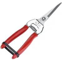 LONGZIMING - Tuinschaar - Oogstschaar - Snoeischaar - RVS - Met Veermechanisme en Vergrendeling - Voor Bloemen, Groenten en Fruit - 20,5 cm