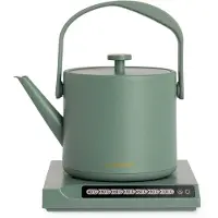 Create - Elektrische waterkoker 0,5 l met temperatuurregeling - Salie - HATTORI