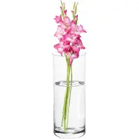 Altom Design Glazen Vaas Cylinder 20 cm - Stijlvolle Bloemenvase