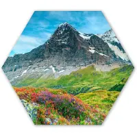 MuchoWow Hexagon wanddecoratie - Kunststof Wanddecoratie - Hexagon Schilderij - Bloemen - Berg - Sneeuw - Landschap - 120x103 cm