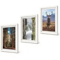 Coloray 3-Delige Schilderij Set - Weg door het bos, bergen en herten in de natuur. - 20x30 - Muurdecoratie - Wanddecoratie - Slaapkamer - Woonkamer Decoratie