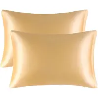 LONGZIMING -Mulberry Zijde Kussensloop 51x76 cm – Echte Zijde Kussensloop – Zachte Luxe Slaaphoes voor Haar en Huid – Ademend en Gladde Kussensloop met Ritssluiting – 2 Stuks